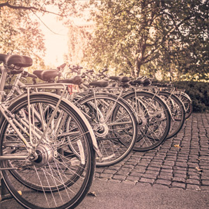 A row of bicycles